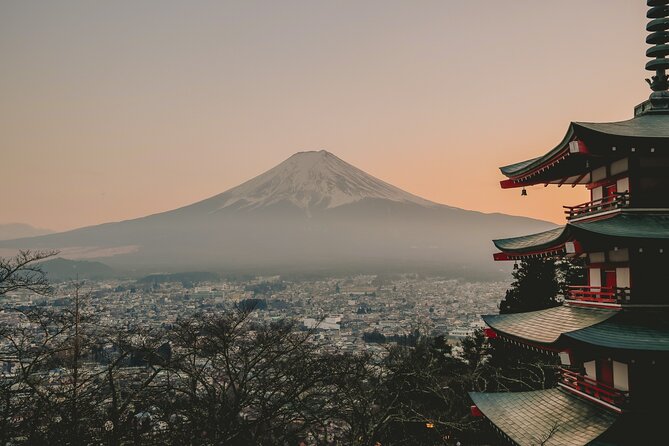 Snow Monkeys From Tokyo: Full-Day Private Trip With Local Guide - Itinerary Overview