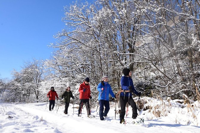 Snowshoe Hike Tour From Sapporo - Tour Details