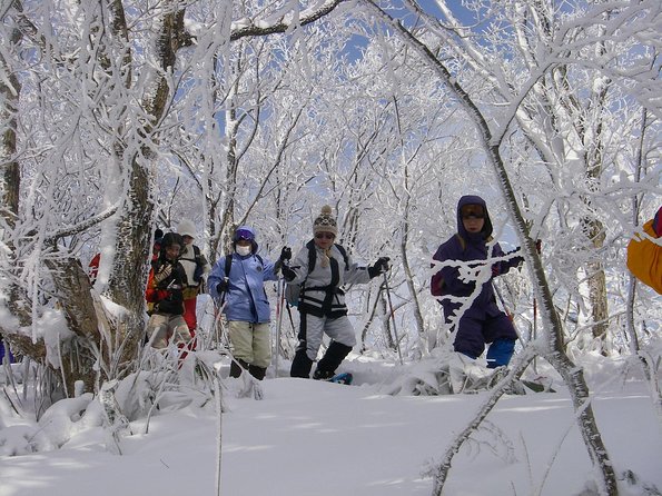 Snowshoe Tour - Gear Rental Options