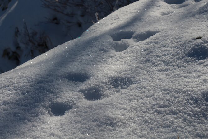 Snowshoeing at Lake Mashu Outer Rim of the Caldera - Meeting and Pickup Options