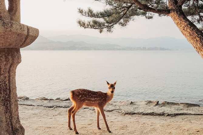 The Peace Memorial to Miyajima : Icons of Peace and Beauty - Cancellation Policy