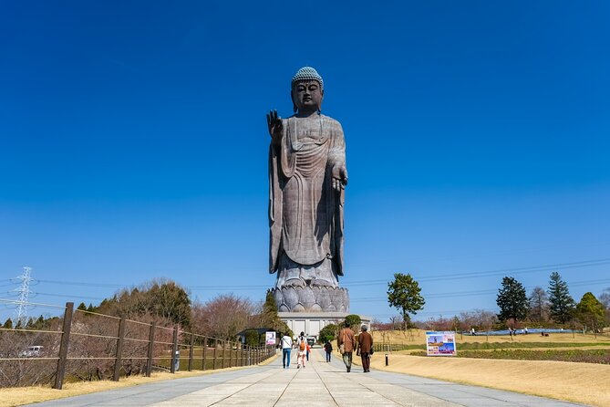 The Tallest Great Buddha Spot Walking Tour - Guide Information