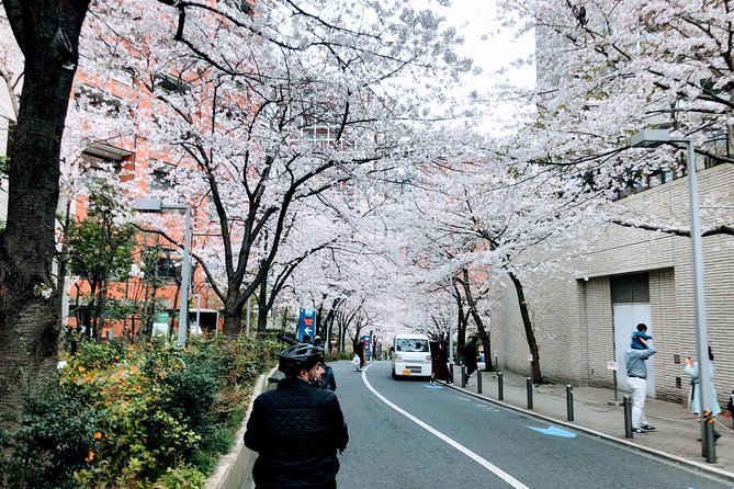 Tokyo Cherry Blossoms Blooming Spots E-Bike 3 Hour Tour - Customer Reviews and Experiences