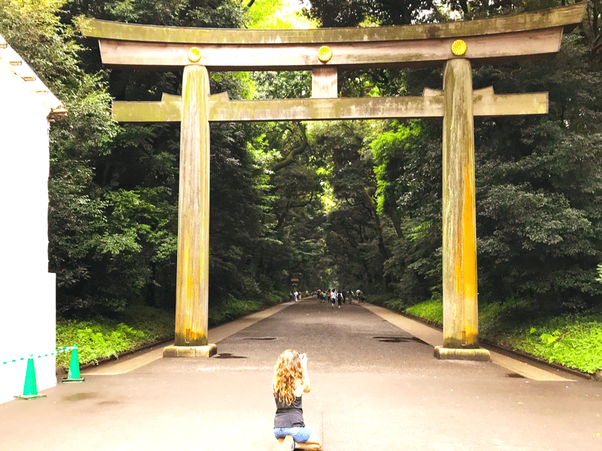 Tokyo: Complete Tour in One Day, Visit All 15 Popular Sights - Harajuku