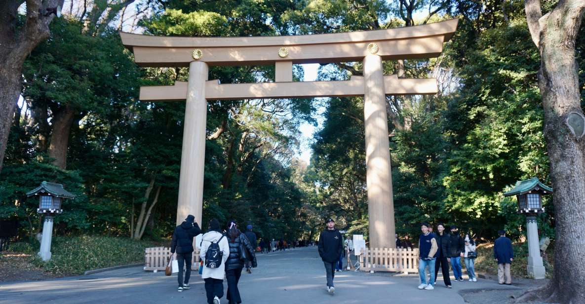 Tokyo From Meiji Shrine to Shibuya Crossing & Lunch,Dessert - Enjoying Japanese Teishoku in Harajuku