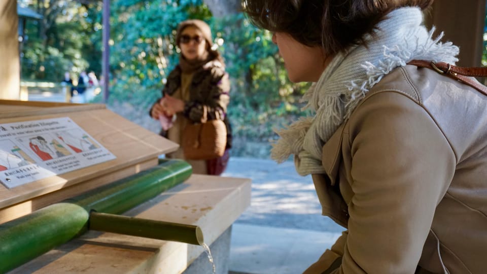 Tokyo Harajuku Meiji Shrine 1h Walking Explanation Tour - Activity Description