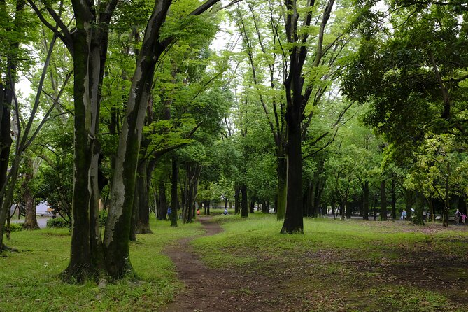 Tokyo Hikarigaoka Park Photo Shooting - Photography Details