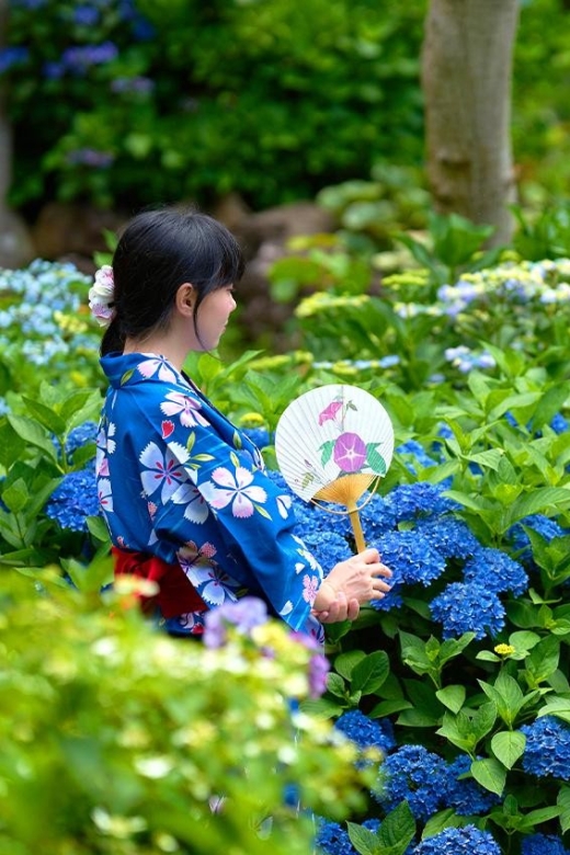 Tokyo: Izu Hydrangea Ocean, Jogasaki Beach & Hot Spring Day - Meeting Point Information