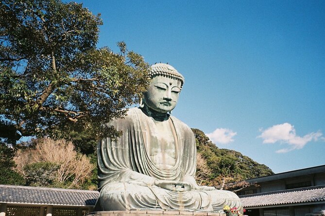 Tokyo Kamakura Day Trip - Insider Tips