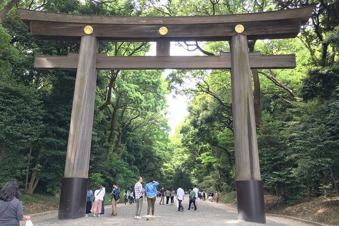 Tokyo Meiji Shrine & Asakusa 4h Private Tour With Licensed Guide - Customer Reviews