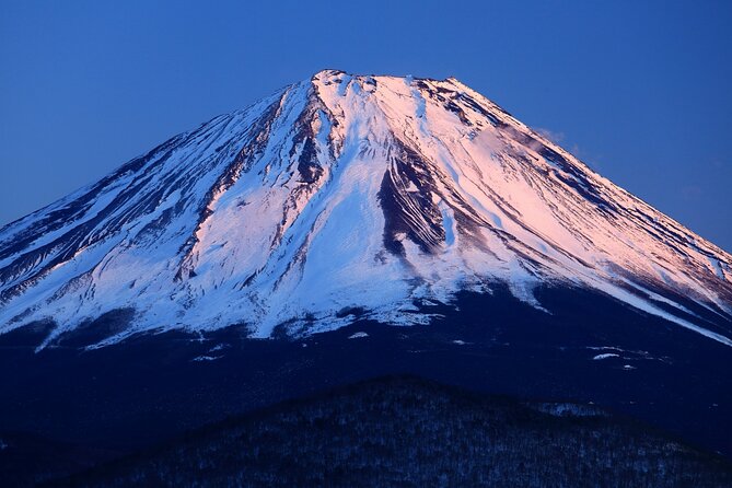 Tokyo: Mt. Fuji 5th Station, Lake Kawaguchi and Gotemba Outlets - Customer Reviews Overview