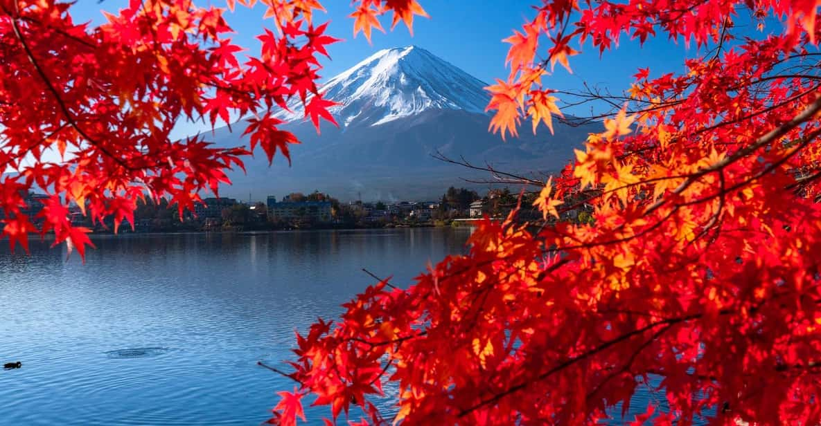 Tokyo: Mt. Fuji Festival, Ropeway, & Fruit Picking Day Trip - Important Information