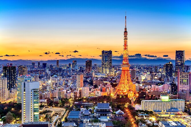 Tokyo Private Tour by Car - English Speaking Driver - Inclusions and Amenities