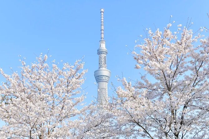 Tokyo Skytree Entry Ticket - Visitor Experience and Reviews