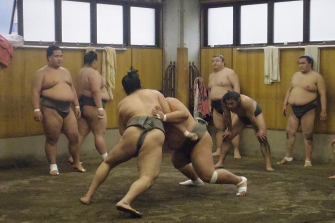 Tokyo Sumo Morning Practice Tour at Stable - Whats Included