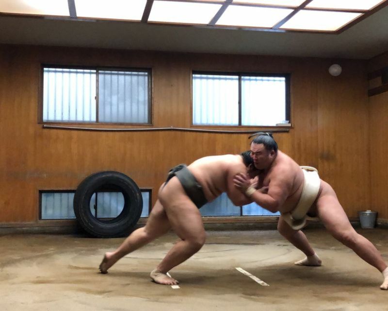 Tokyo: Sumo Morning Practice Tour in Ryogoku - Itinerary