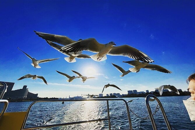 Tokyo Water Taxi Heritage Tour - Pickup Information