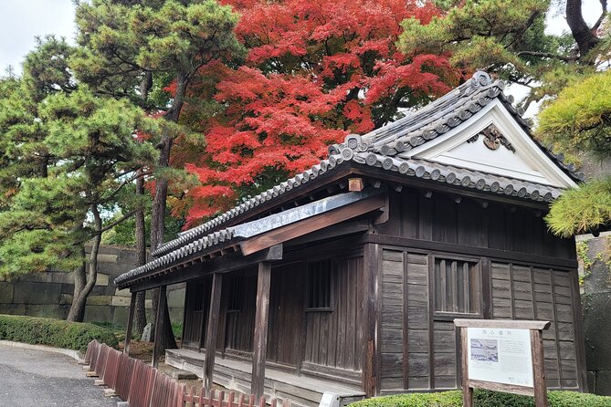 Tokyos Imperial Palace & Nihonbashi Tour - Accessibility Information