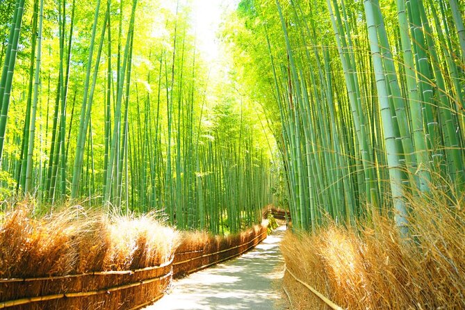 Traversing Kyotos Scenic West - Arashiyama to Kinkakuji - Must-Visit Attractions