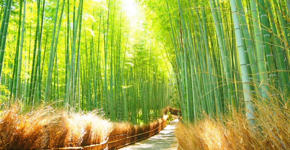 Traversing Kyotos Scenic West - Arashiyama to Kinkakuji - Tour Highlights