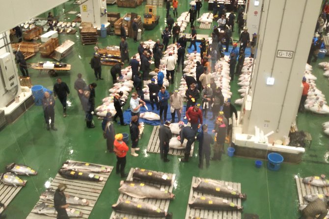 Tuna Auction at Toyosu Market With Qualified Guide and Early Morning Tour of Tsukiji Outer Market - Transportation and Meeting Point