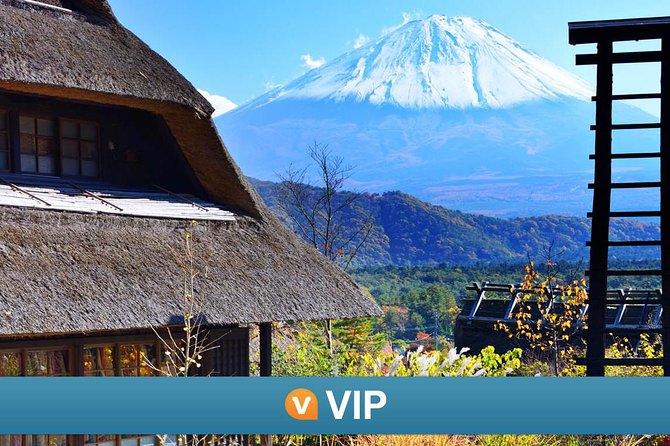 VIP: Mt Fuji Private Tour With Sengen Shrine Visit From Tokyo - Reviews and Testimonials