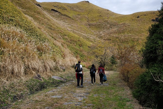 Walking Through the Aso Caldera, Historical Walk Along the Bungo Kaido - Tour Details and Itinerary Overview