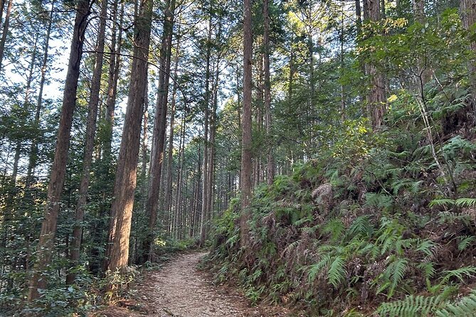 3 Day Kumano Kodo Pilgrimage Route Walking Tour From Osaka - Key Points