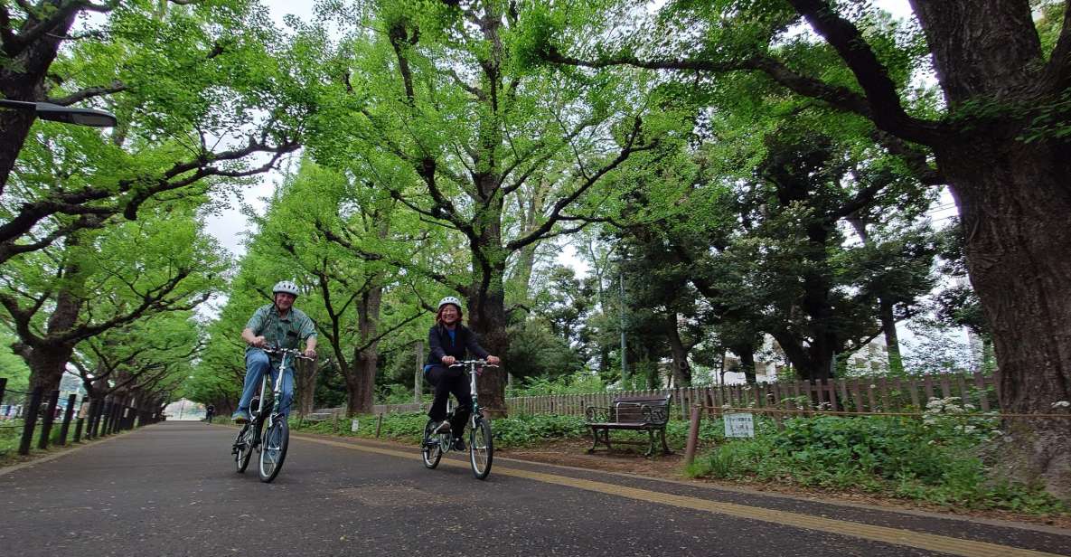 3-Hour Private E-Bike Tour Fr Shinjuku, Start at Your Hotel - Key Takeaways