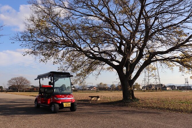 3 Hours Historical Tour of Princess Saio on an Electric Cart - Key Points