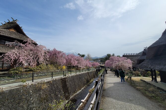 1 Day Private Mount Fuji Tour With English Speaking Driver - Communication and Timing