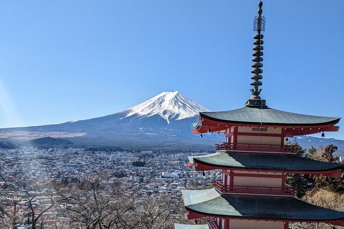 1 Day Private Mt Fuji & Lake Kawaguchiko English Speaking Driver - Inclusions and Services Provided