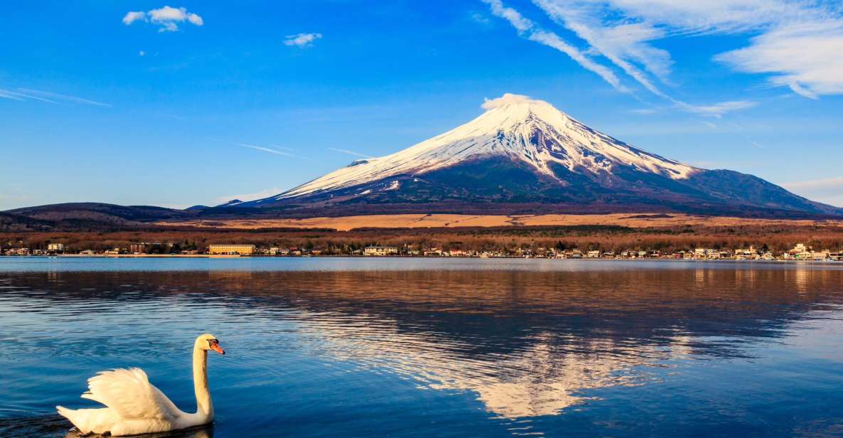 1-Day Trip: Mt Fuji + Kawaguchi Lake Area - Highlights