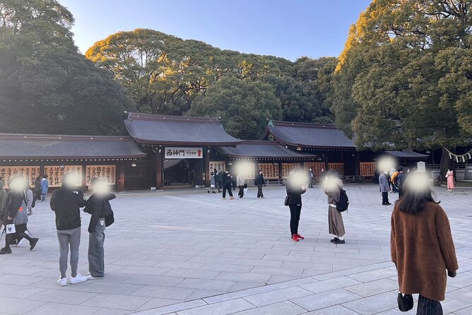 1 Hour Meiji Jingu Shrine Walking Tour in Harajuku - End Point and Start Time