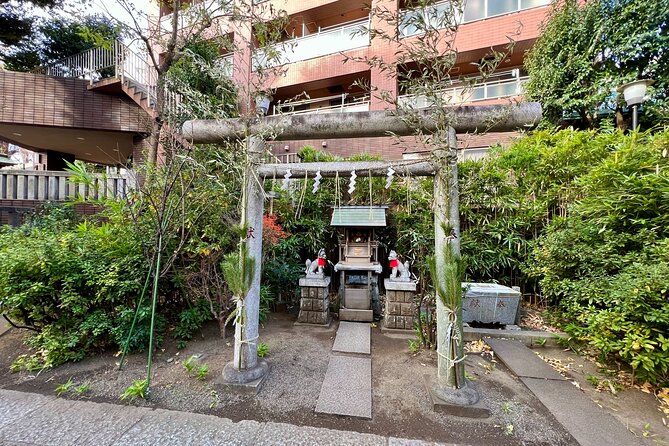 1 Hour Natto Eating Challenge and Visiting Local Shrines - Inclusions and Additional Info