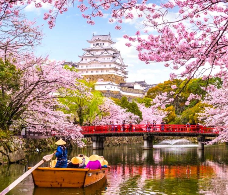 10-Day Private Guided Tour in Japan Moreover 60 Attractions - Language Options
