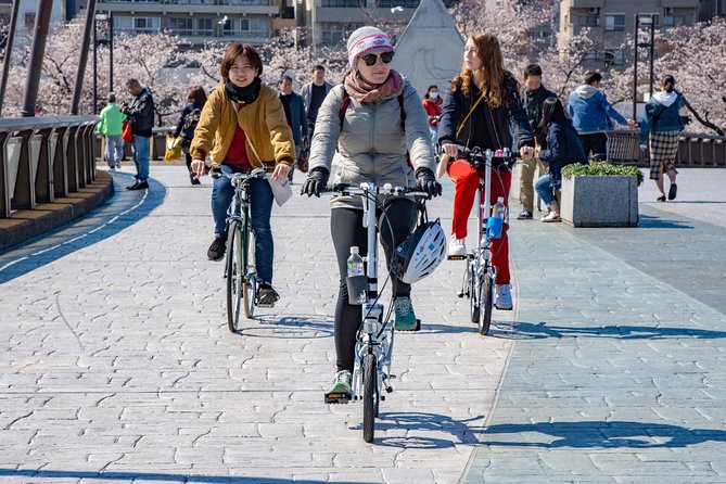 2.5 Hour-Guided Cycle Tour in the Central Tokyo - Safety Measures