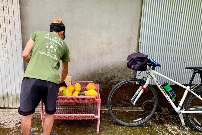 4 Hour Guided Cycling Experience in Yakushima - Meeting and Pickup Details