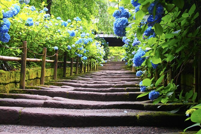 4-Hour Private Tour of Kamakura With Government-Licensed Guide - Directions