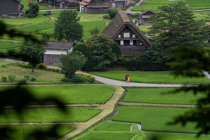 6 Hour Private Wedding Photos at Shirakawa-go in Japan - Booking and Pricing