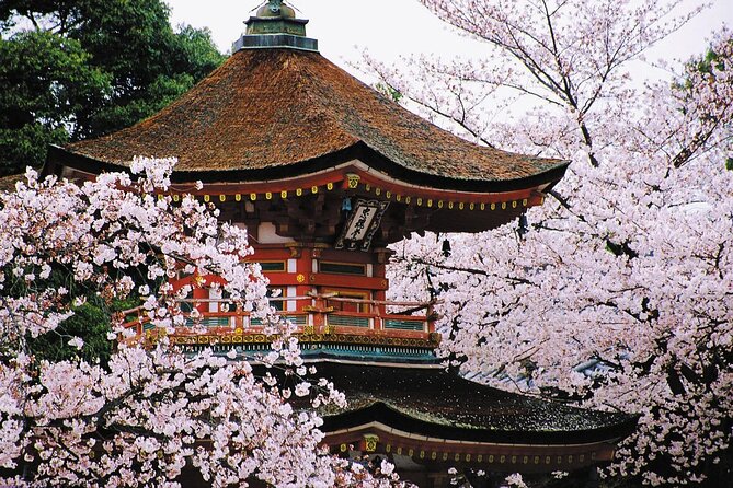 7-Day Guided Tour in Tokyo, Mount Fuji, Kyoto, Nara and Osaka - Pickup and Start Information