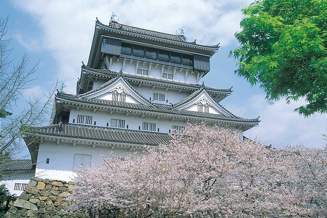 A Day Charter Bus Tour Around Cherry Blossoms in Northern Kyushu - What To Expect