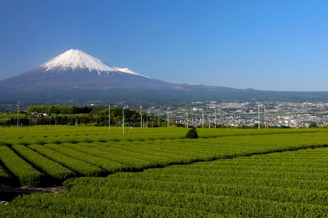 A Trip to Enjoy Subsoil Water and Nature Behind Mt. Fuji - Explore Nature Trails