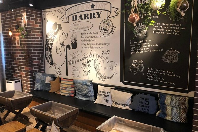 Admission to Hedgehog Cafe in Harajuku - Experience Offered