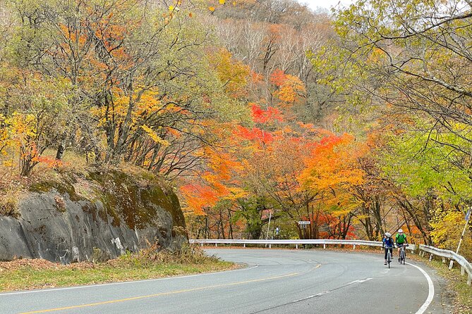 Akagi Mountain E-Bike Hill Climbing Tour - Cancellation Policy