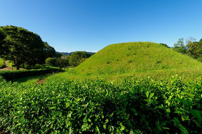 Ancient Nara Walking and Cycling Tour in Asuka - Traveler Requirements