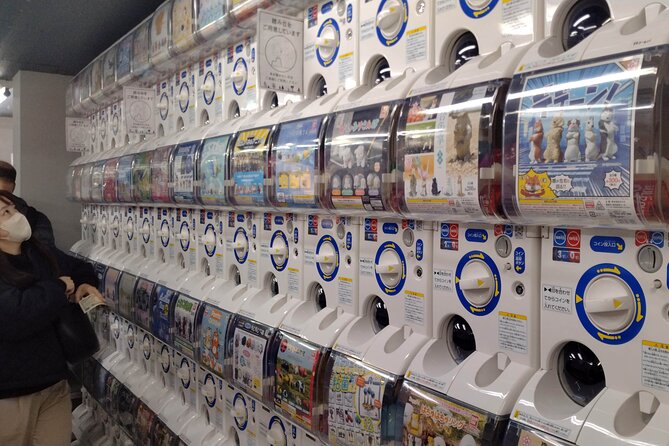 Anime Shopping Tour: Osaka Den-Den Town, Kawaii, Maid Cafe, Knife - Maid Cafe Experience