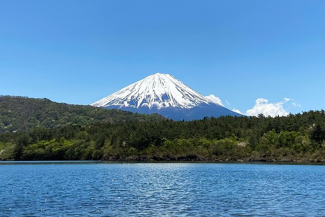 Aokigahara Nature Conservation Full-Day Hiking Tour - Starting Point and Time