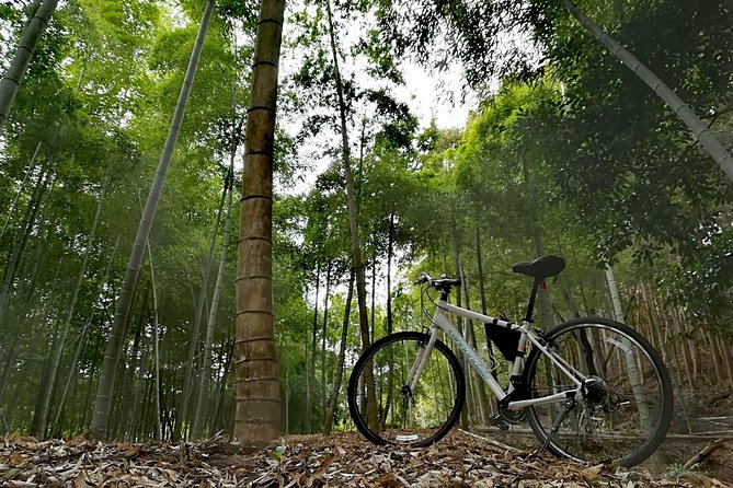 Arashiyama Bamboo Bike Tour (Early Bird) - Additional Information