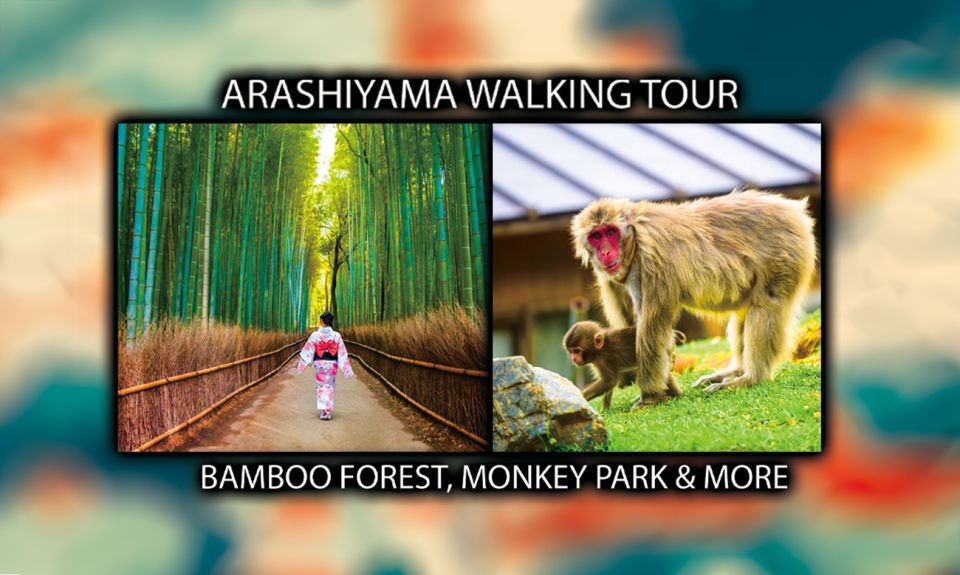 Arashiyama Kyoto: Bamboo Forest, Monkey Park & Secrets - Highlights